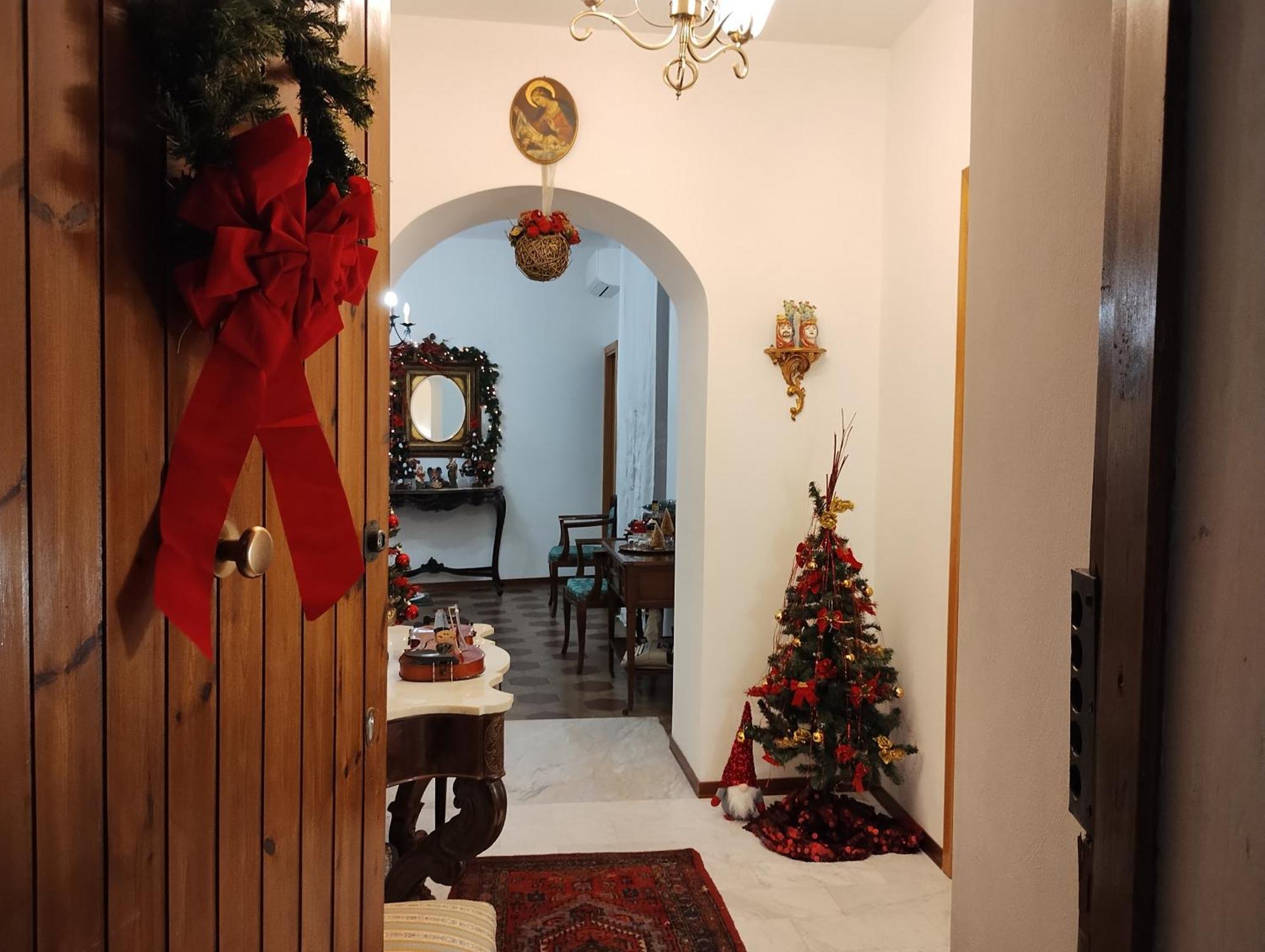 Apartment Alfycodindia *